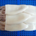 3-5inch tubes with tentacles